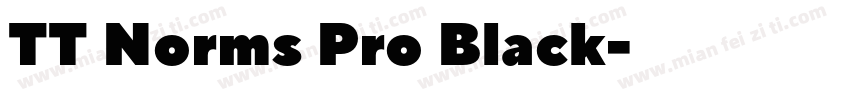 TT Norms Pro Black字体转换